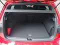 Volkswagen Golf VIII GTI DSG 360° DCC HUD harman/kardon® Rot - thumbnail 4