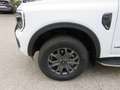 Ford Ranger Doppelkabine Wildtrak e-4x4 2,0 EcoBlue Automatik Weiß - thumbnail 5