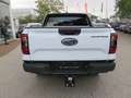 Ford Ranger Doppelkabine Wildtrak e-4x4 2,0 EcoBlue Automatik Weiß - thumbnail 13