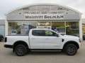 Ford Ranger Doppelkabine Wildtrak e-4x4 2,0 EcoBlue Automatik Weiß - thumbnail 8