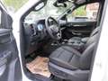 Ford Ranger Doppelkabine Wildtrak e-4x4 2,0 EcoBlue Automatik Weiß - thumbnail 2