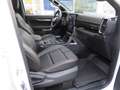 Ford Ranger Doppelkabine Wildtrak e-4x4 2,0 EcoBlue Automatik Weiß - thumbnail 9