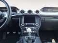 Ford Mustang Fastback 5.0 Ti-VCT V8 MACH1 Bleu - thumbnail 11