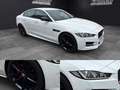 Jaguar XE 2.0 Diesel R-Sport AWD Aut. 180 Blanco - thumbnail 14