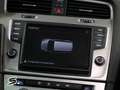 Volkswagen Golf Variant Bluemotion 1.6 TDI 110cv Negro - thumbnail 17
