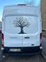 Ford Transit Bus 350 Blanc - thumbnail 4