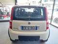 Fiat Panda 1.3 MJT 16V 4x4 Climbing Blanc - thumbnail 6