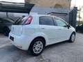 Fiat Punto Punto5p 1.4 GPL Automatica s Clima/Park/Bluetooth Bianco - thumbnail 6