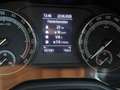 Skoda Kodiaq 2,0 TDI SCR Ambition 125 DSG Blau - thumbnail 30