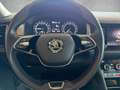 Skoda Kodiaq 2,0 TDI SCR Ambition 125 DSG Blau - thumbnail 29