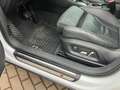 Audi Q3 S Q3 S - Line Klima Navi Plus Xenon 19 Zoll Blanc - thumbnail 6