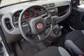 Fiat Panda Panda III 2021 1.0 firefly hybrid City Life s Grigio - thumbnail 10
