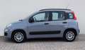 Fiat Panda Panda III 2021 1.0 firefly hybrid City Life s Grigio - thumbnail 1
