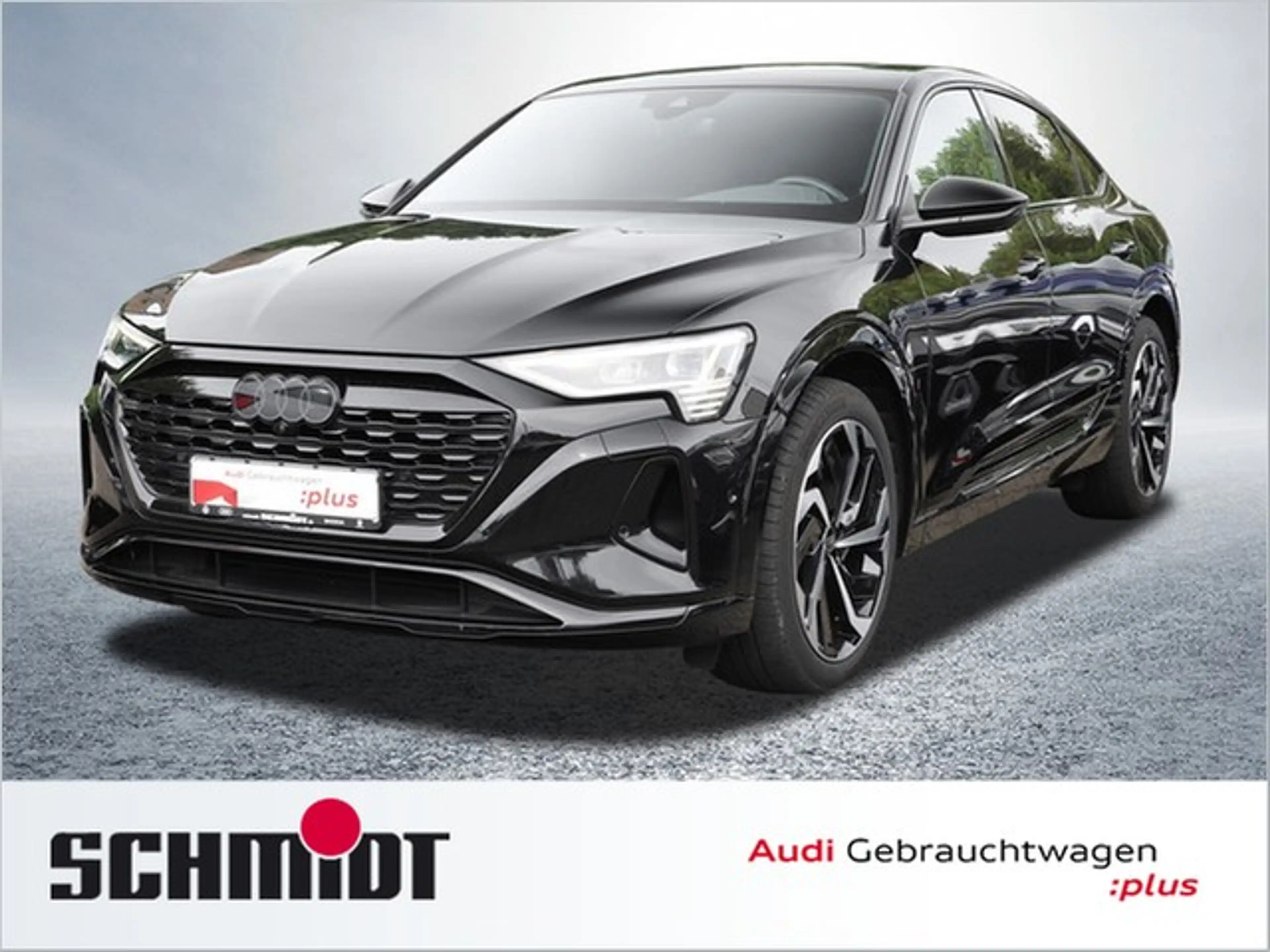 Audi Q8 e-tron Sportback 50 quattro Advanced LM21 AHK ACC Matr...