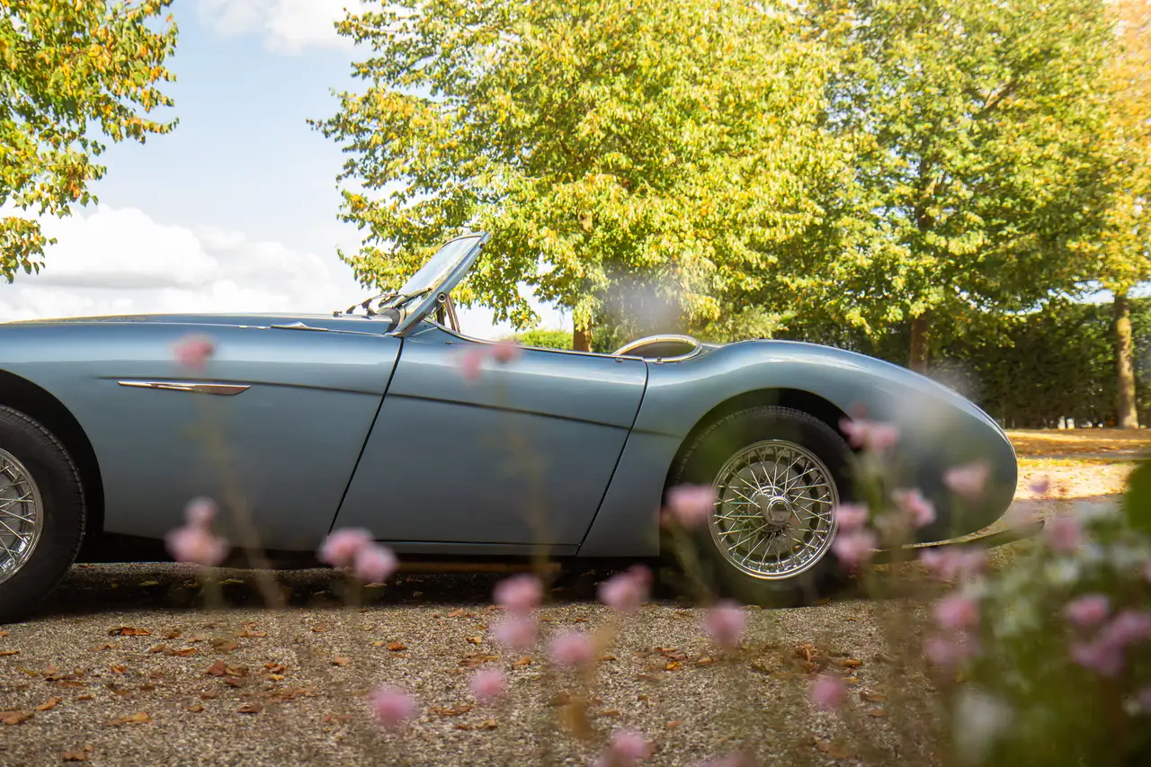 Austin-Healey 100 /4 BN1, foto 12