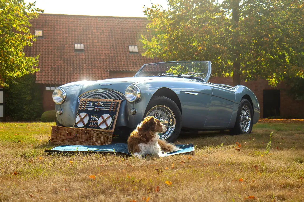 Austin-Healey 100 /4 BN1, foto 3