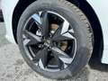 CUPRA Terramar 1.5 e-TSI 150 PS DSG Weiß - thumbnail 10