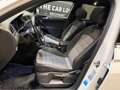 Volkswagen Tiguan Sky R-LINE TSI DSG AHK Weiß - thumbnail 10