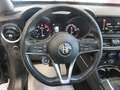 Alfa Romeo Stelvio Stelvio 2.2 td Business sport rwd 160cv auto* Grau - thumbnail 13