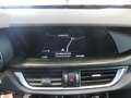 Alfa Romeo Stelvio Stelvio 2.2 td Business sport rwd 160cv auto* Grau - thumbnail 15