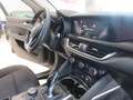 Alfa Romeo Stelvio Stelvio 2.2 td Business sport rwd 160cv auto* Grau - thumbnail 12
