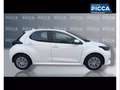 Mazda 2 Mazda  1.5 vvt full hybrid electric Pure e-cvt Blanco - thumbnail 3
