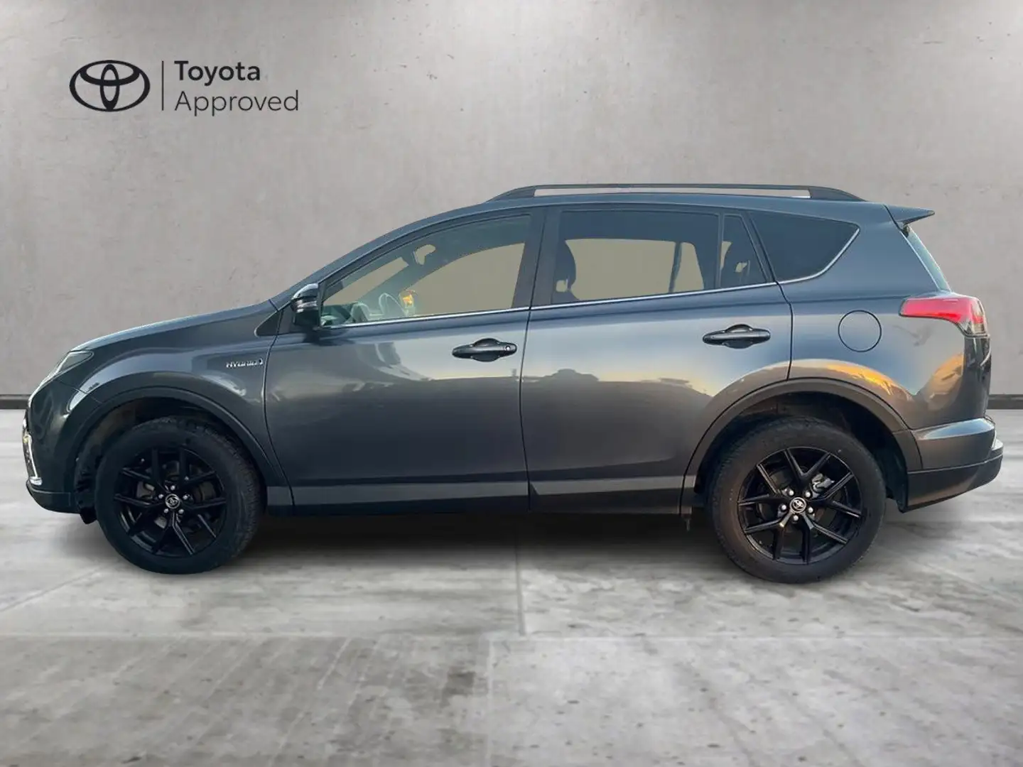 Toyota RAV 4 Rav4 2.5 vvt-i h Dynamic 4wd e-cvt Gris - 2