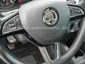 Skoda Fabia Ambition Klima/Touch/Bluetooth/Allwetter Azul - thumbnail 25