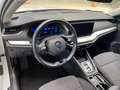Skoda Octavia Combi Style 1.4 TSI Hybrid Navi Kamera Weiß - thumbnail 10