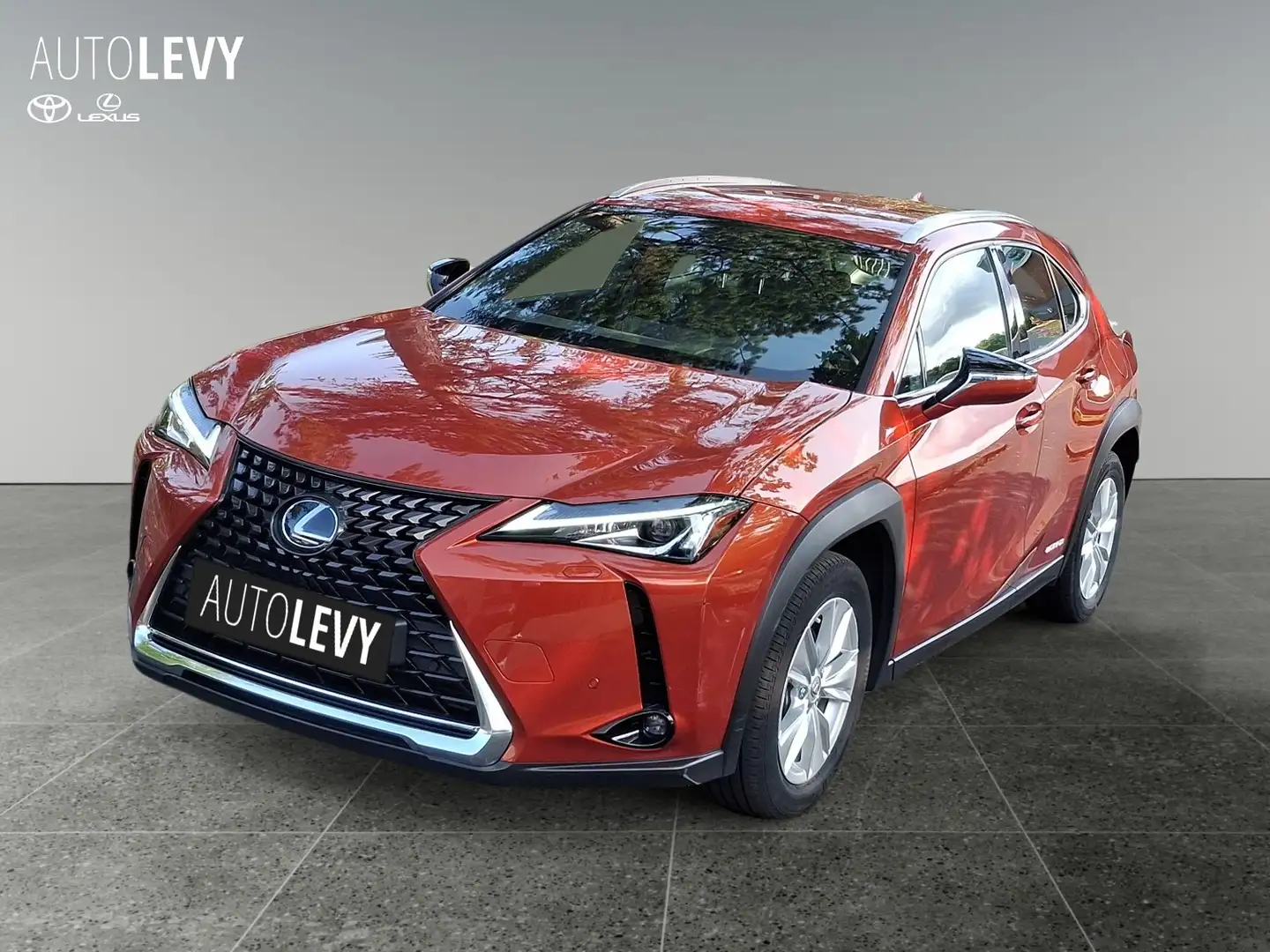 Lexus UX 250h Hybrid Business *NAVI*CARPLAY*AA* Orange - 2