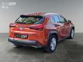 Lexus UX 250h Hybrid Launch *NAVI*CARPLAY*AA* Naranja - thumbnail 6