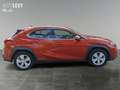 Lexus UX 250h Hybrid Business *NAVI*CARPLAY*AA* Orange - thumbnail 7