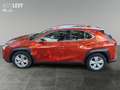 Lexus UX 250h Hybrid Business *NAVI*CARPLAY*AA* Orange - thumbnail 3