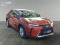 Lexus UX 250h Hybrid Business *NAVI*CARPLAY*AA* Orange - thumbnail 8