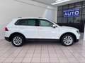 Volkswagen Tiguan Tiguan 1.6 TDI 115cv BLACK FRIDAY Bianco - thumbnail 4