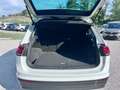Volkswagen Tiguan Tiguan II 2016 1.6 tdi Style 115cv Bianco - thumbnail 9
