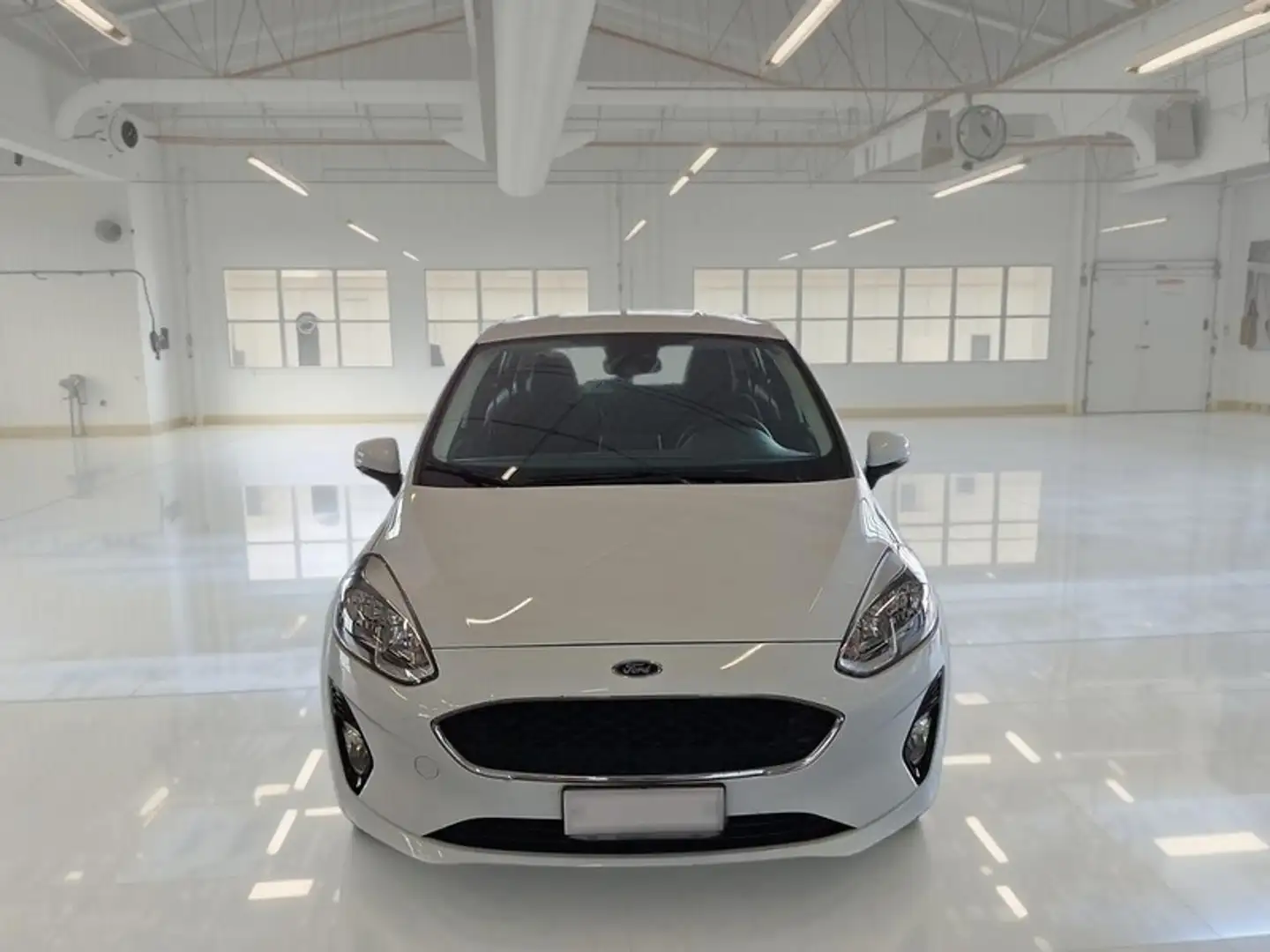 Ford Fiesta 1.5 EcoBlue 85CV Business 5 PORTE - 2
