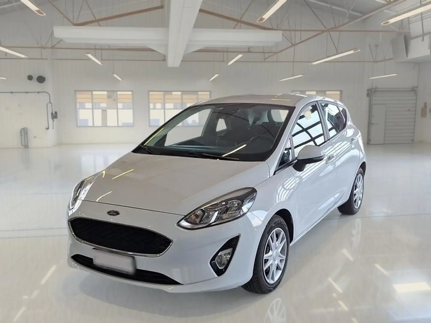Ford Fiesta 1.5 EcoBlue 85CV Business 5 PORTE - 1