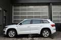 Skoda Kodiaq 2.0 TDI Sportline 4x4 Pickerl NEU White - thumbnail 6