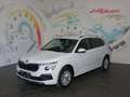 Skoda Kamiq 1,0 TSI Selection *LED, SMART LINK, TEMPOMAT* Weiß - thumbnail 19