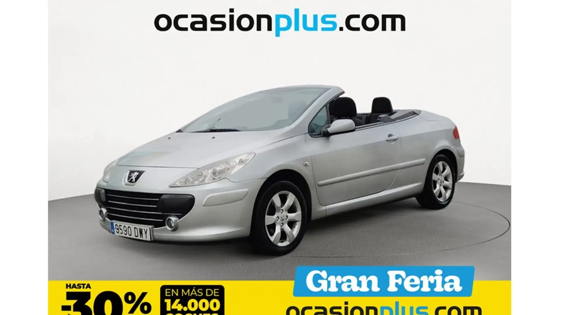Peugeot 307 CC 2.0 Grijs - 1