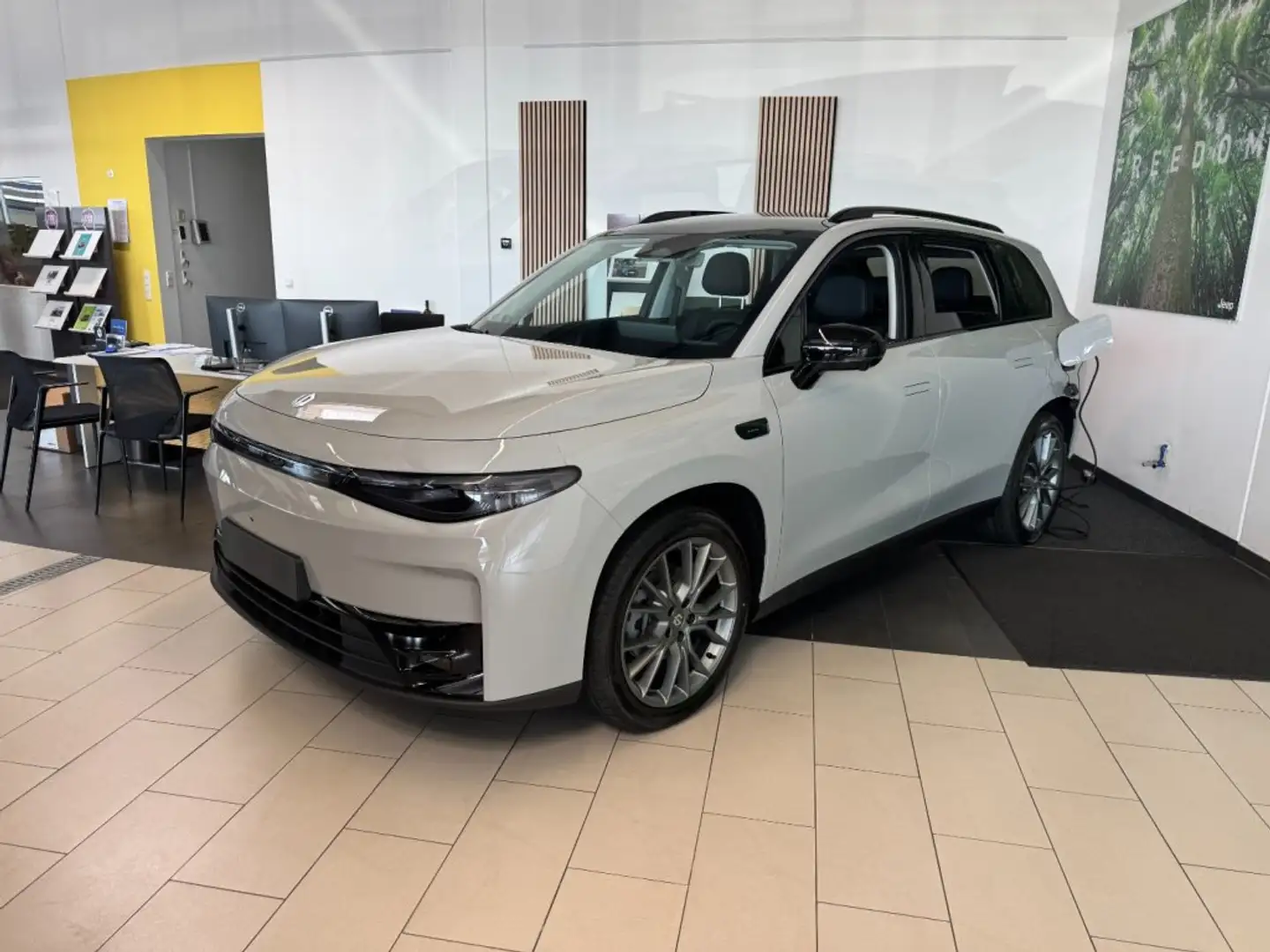 Leapmotor C10 Design Promax 82kWh Grau - 1