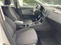 SEAT Leon 1.6 TDI Style Navigation LED Rahmen OK Blanco - thumbnail 15