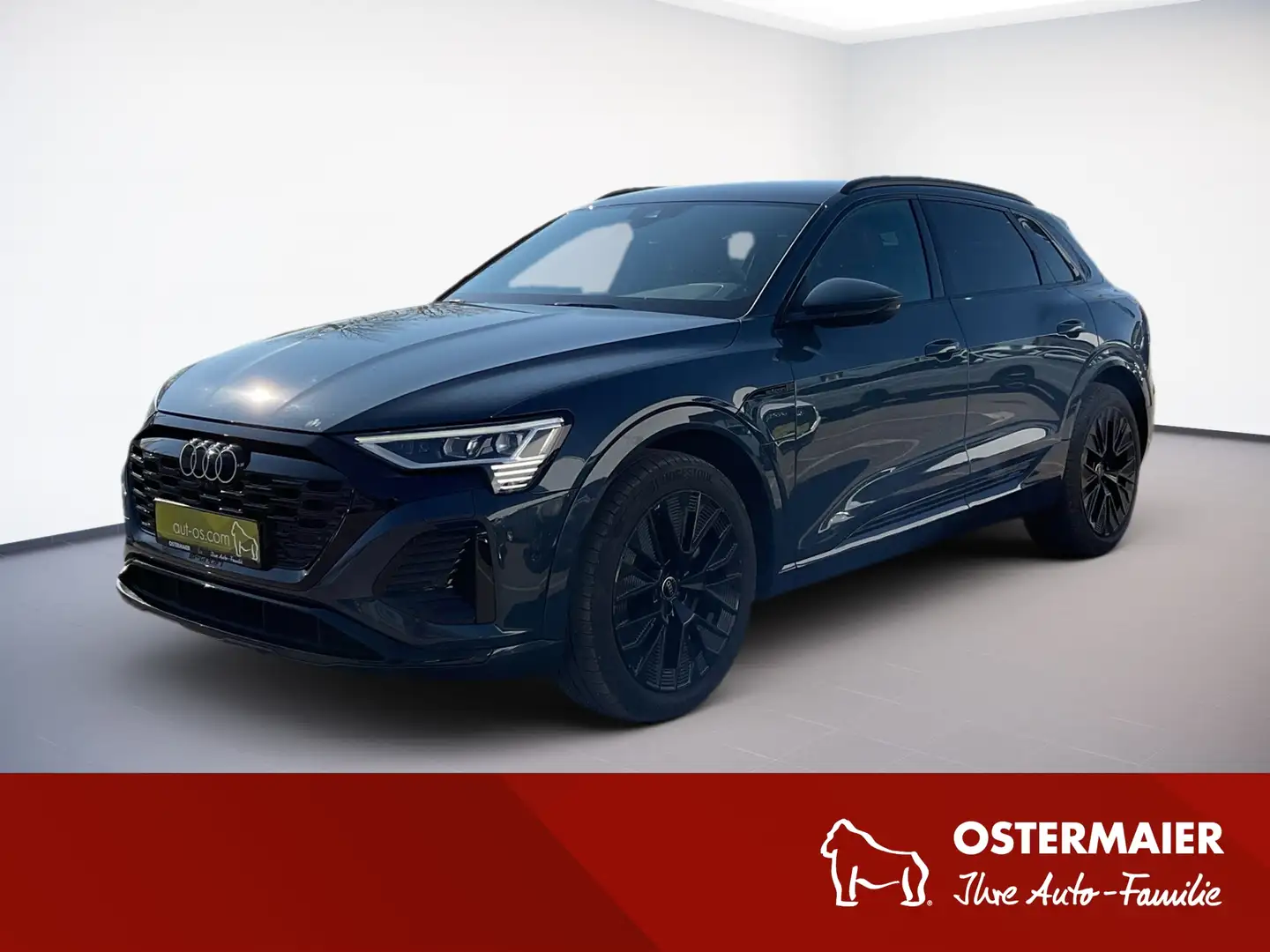 Audi Q8 e-tron S-LINE QUATTRO 50 340PS.MATRIX.NAVI.AHK.LUFT.KAMER Bleu - 1