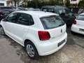 Volkswagen Polo V Trendline BlueMotion/BMT Weiß - thumbnail 6