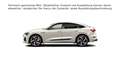 Audi e-tron 55 quattro S line Optik HUD Nac Beige - thumbnail 11