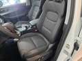 DR Automobiles DR6.0 dr 6.0 Bianco - thumbnail 6