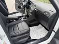 Volkswagen Tiguan Highline Sky 4Motion 2,0 TSI DSG/Panorama Weiß - thumbnail 26