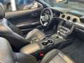 Ford Mustang 5.0 Ti-VCT V8 GT Cabrio Aut. Neuer Motor Gris - thumbnail 16