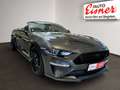Ford Mustang 5.0 Ti-VCT V8 GT Cabrio Aut. Neuer Motor Gris - thumbnail 19